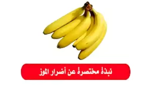 أضرار الموز
