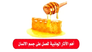 شاهد أهم فوائد العسل للجسم والبشرة 