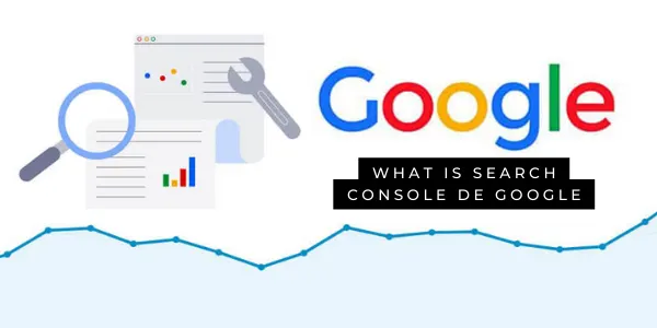 Search console de google.