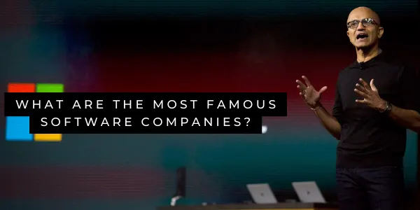 What are the most famous software companies?
