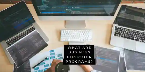Business computer programs