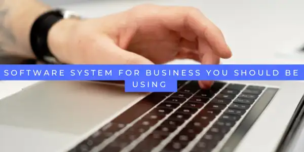 Software system for business 