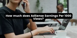 How much does AdSense Earnings Per 1000 Views