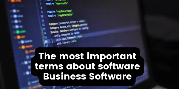 Software Business Software