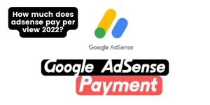 How much does adsense pay per view 