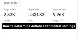 AdSense estimated earnings.