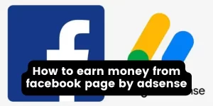 How to earn money from facebook page by adsense? However, you need to preview the page to ensure that Google Adsense is displayed on it. You will know how to enable it on your Facebook page through this article.