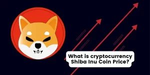 Cryptocurrency Shiba Inu Coin Price