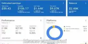 For Your AdSense earning proof simply