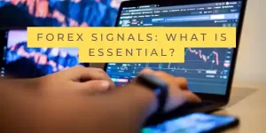 Forex signals