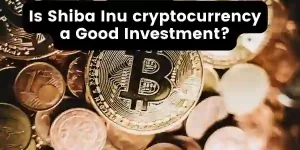 Shiba Inu cryptocurrency 