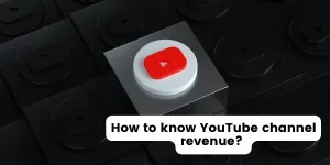 How to know YouTube channel revenue?