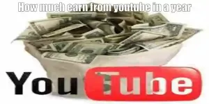 How much earn from youtube in a year?