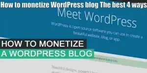 How to monetize WordPress blog?