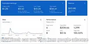 How Much Can You Earn From Goolge AdSense