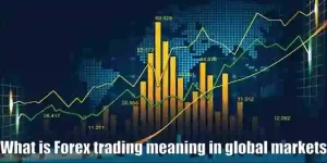  Forex trading meaning